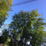 passerrelle accrobranche haut perchée