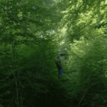 personne faisant une tyrolienne