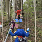 jeunes garçons sur parcours accrobranche