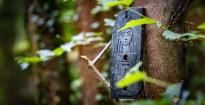 escape game extérieur ,chez Arb' aventure