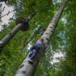 jeune homme grimpant à l'escalad'arbre