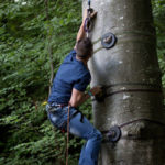 jeune homme grimpant à l'escalad'arbre