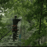passerelle planche dans la canopée amenant au quick jump