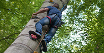 jeune homme faisant escalad'arbre