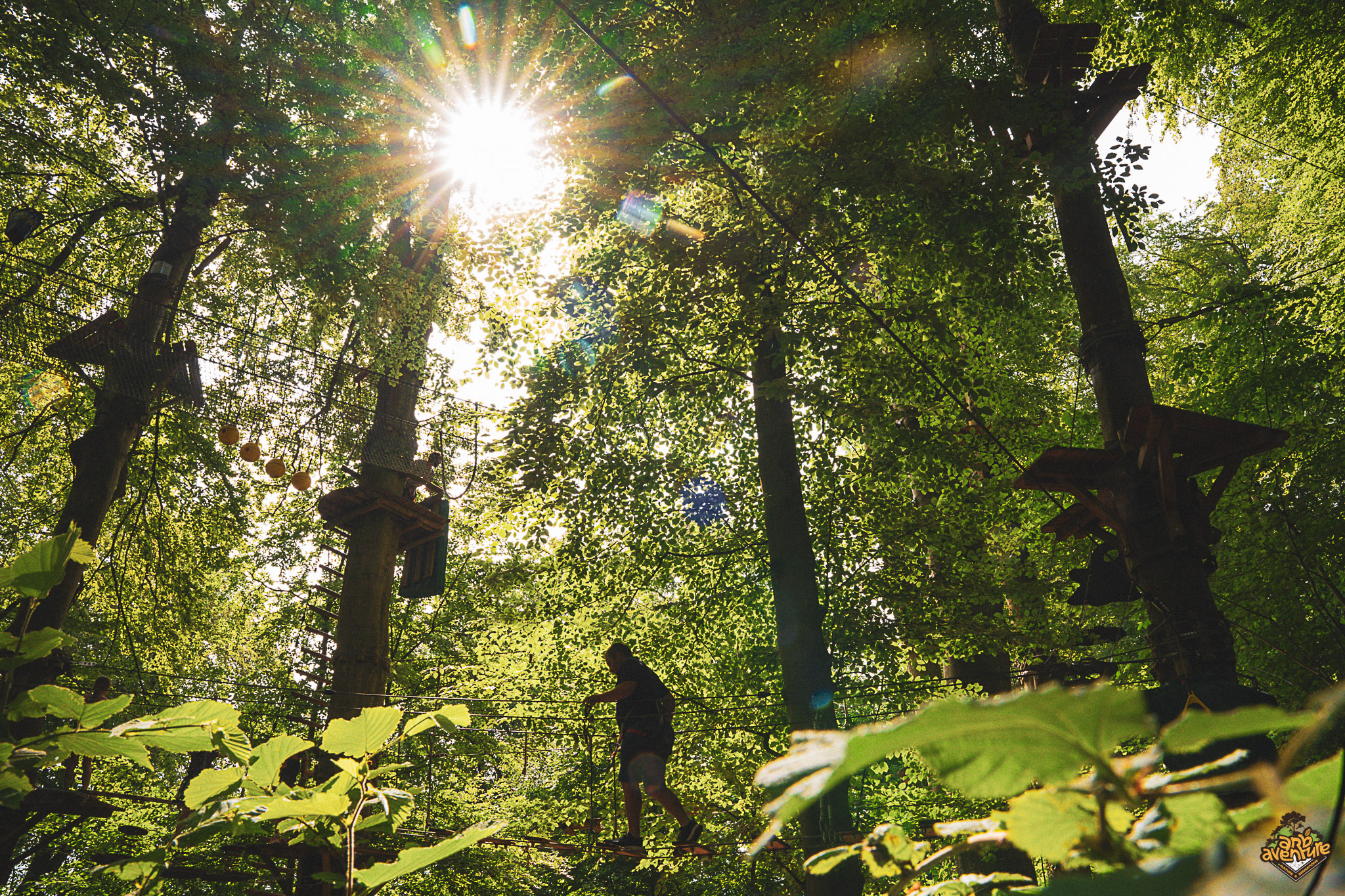 Activité nature, l'accrobranche