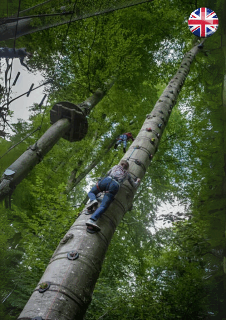 outdoor activities in Dieppe at Arb' aventure