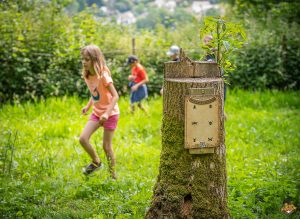 enfants jouants escape game en forêt Dieppe chez Arb' aventure
