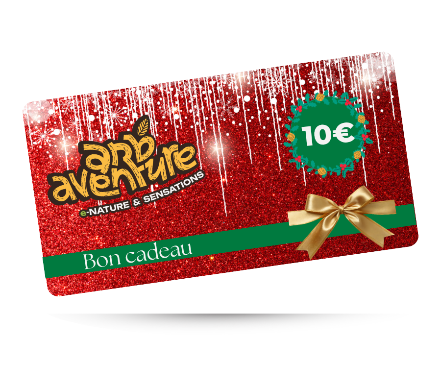 Bon cadeau Noël 10€