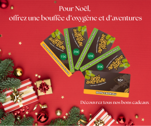 Cadeau de Noêl chez Arb' aventure