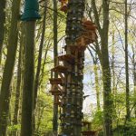 Escalier colimacon dans les rĂšgles de l'art chez Arb'aventure