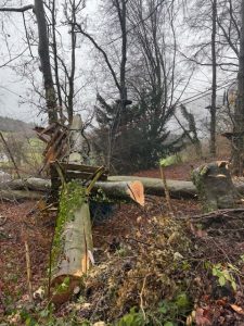 Arb'aventure et la tempête Goretti